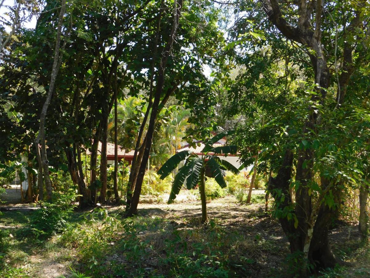 Villasjungle 1 Sámara Екстериор снимка