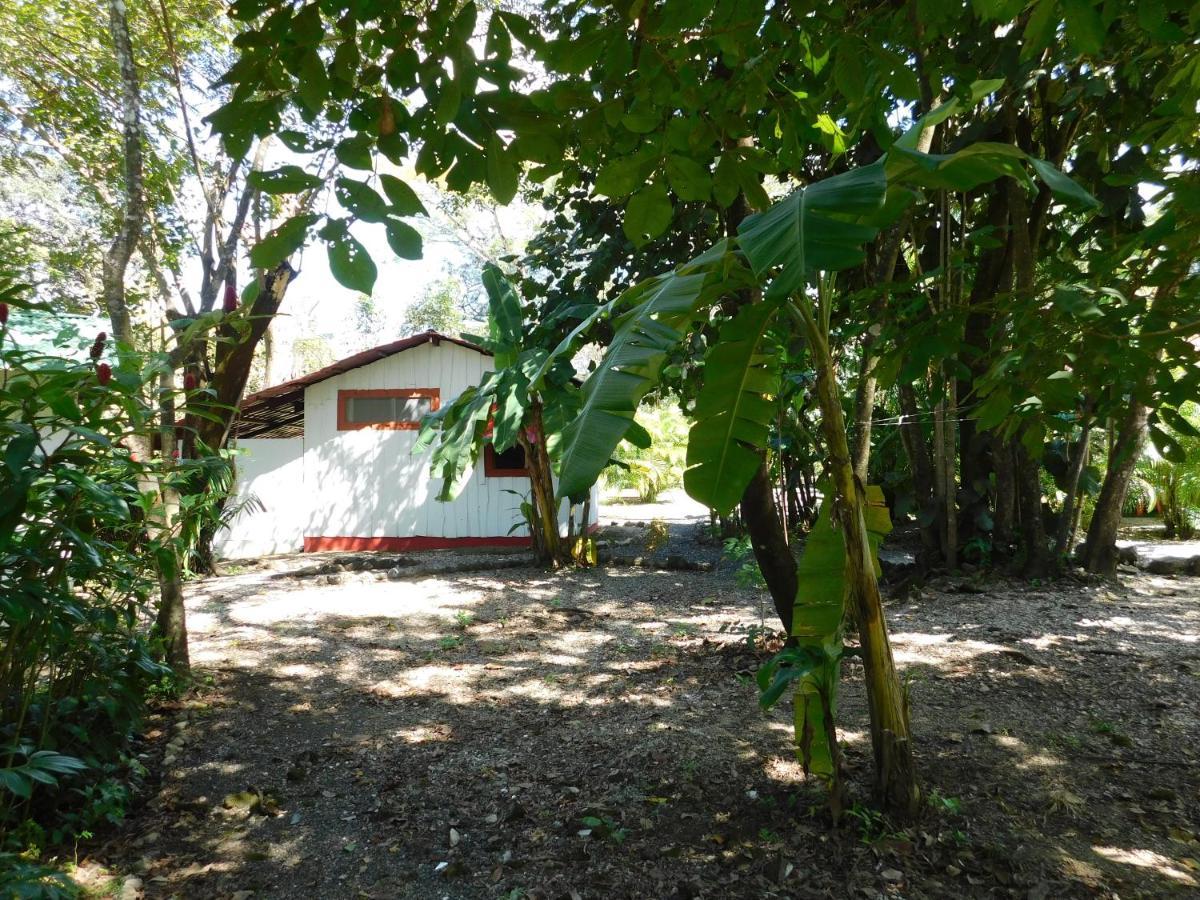 Villasjungle 1 Sámara Екстериор снимка
